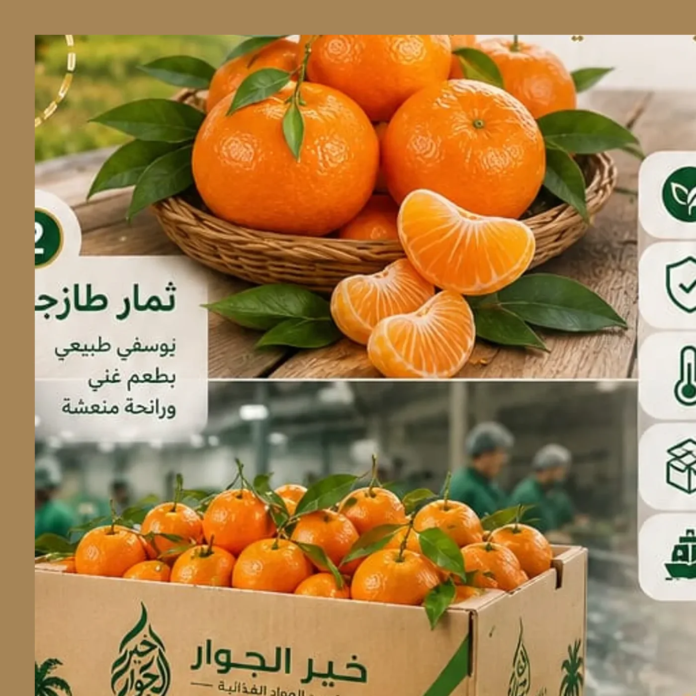 Fresh Tangerines
