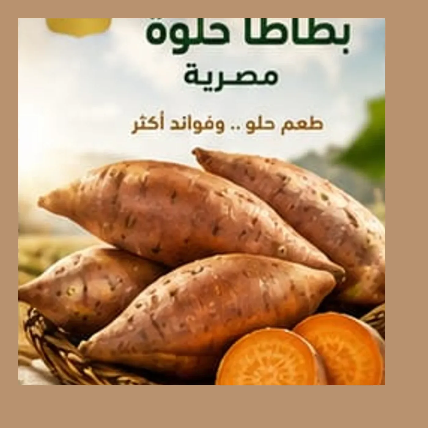Sweet Potatoes